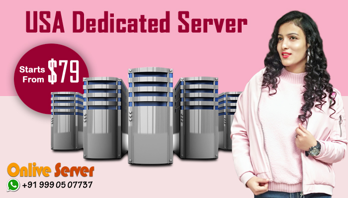 USA Server Hosting Can Operate Your Business