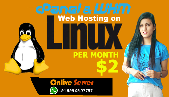 The Top-one provider for Managed Linux VPS Server Hosting