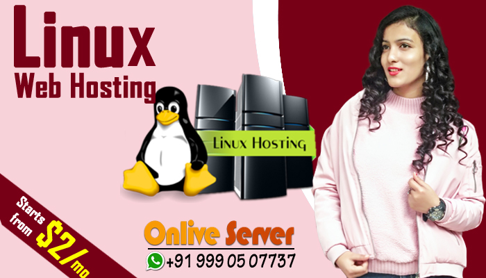 Best Windows and Linux Web Hosting Plans with Higher Responsibility – Onlive Server