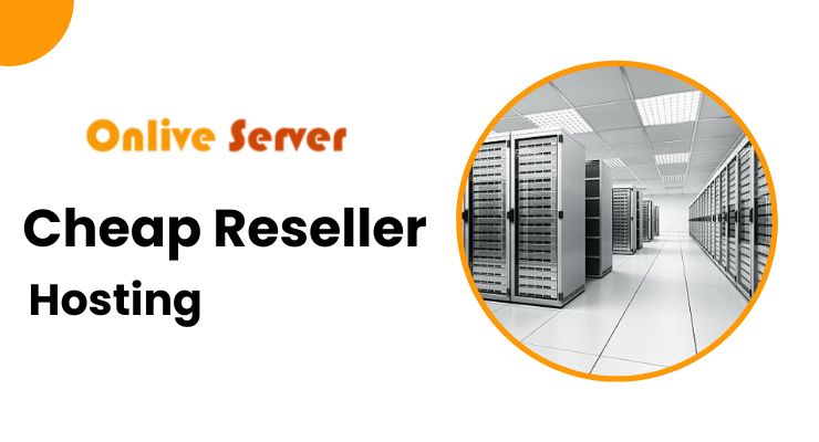 Start Your Business with Cheap Reseller Hosting – Onlive Server