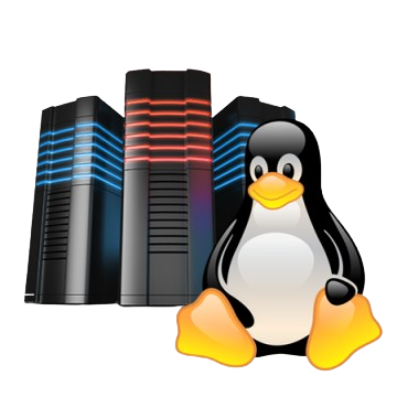 Linux Web Hosting